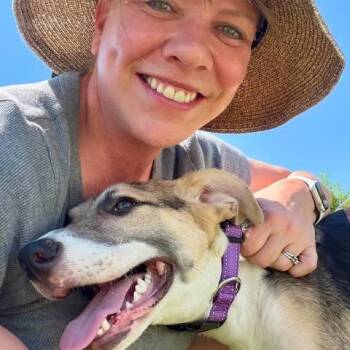 Cricket -  Mixed Breed Dog for Adoption in Alma, Wisconsin - Cricket | PetCurious