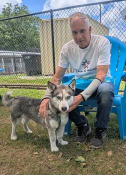 Masha -  Mixed Breed Dog for Adoption in Chamblee, Georgia - Masha | PetCurious