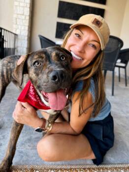 Daryl Daydream Supreme -  Pit Bull Terrier Dog for Adoption in Friendswood, Texas - Daryl Daydream Supreme | PetCurious