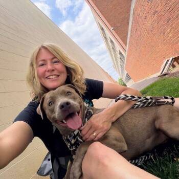 Laverne -  Terrier and Mixed Breed Dog for Adoption in St. Louis, Missouri - Laverne | PetCurious