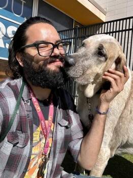 Mixed Breed Dogs Available for Adoption - Rusty | PetCurious