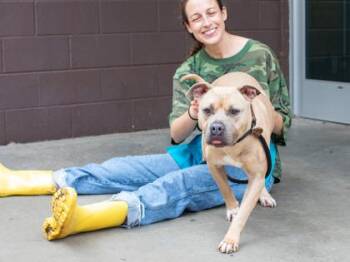 Mixed Breed Dogs Available for Adoption in Chamblee, Georgia - Kyron | PetCurious