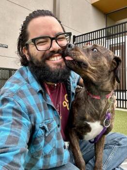 Mixed Breed Dogs Available for Adoption in Wichita, Kansas - Nutella | PetCurious