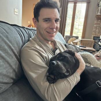 Porter ~ Waived Adoption Fee! -  Pit Bull Terrier Dog for Adoption in Chicago, Illinois - Porter ~ Waived Adoption Fee! | PetCurious
