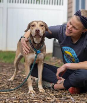 Mizuna -ADOPTED! -  Mixed Breed Dog for Adoption in Chamblee, Georgia - Mizuna -ADOPTED! | PetCurious
