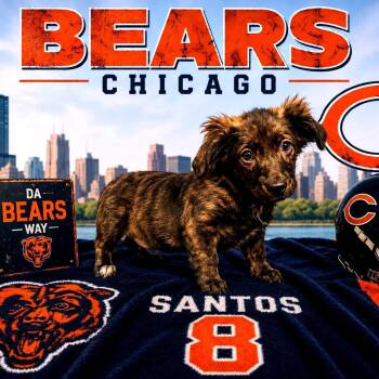Santos -  Mixed Breed Dog for Adoption in Joliet, Illinois - Santos | PetCurious
