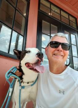 Zilo -  Mixed Breed Dog for Adoption in Cincinnati, Ohio - Zilo | PetCurious