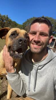 Rescue Rhodesian Ridgeback Dogs for Adoption in Troy, Alabama - Maeve | PetCurious