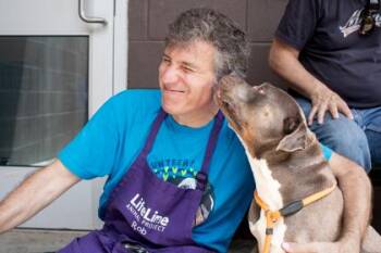 Mixed Breed Dogs Available for Adoption - McClara | PetCurious