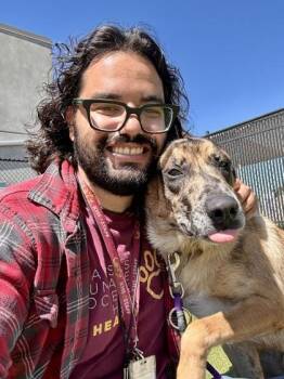 Man with a Perm -  Mixed Breed Dog for Adoption in Wichita, Kansas - Man With A Perm | PetCurious