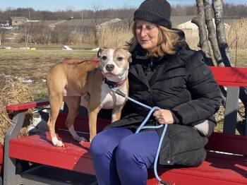 Mixed Breed Dogs Available for Adoption - Harlow | PetCurious