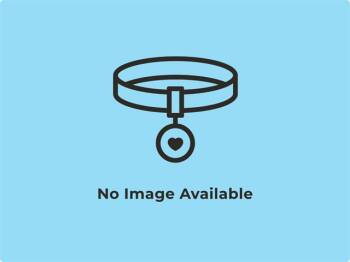 Labrador Retriever and Mixed Breed Dogs Available for Adoption - GOUDA | PetCurious