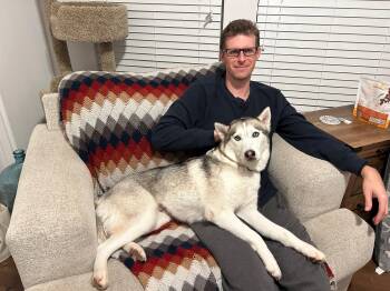 Husky Dogs Available for Adoption in Santa Monica, California - Mocha | PetCurious