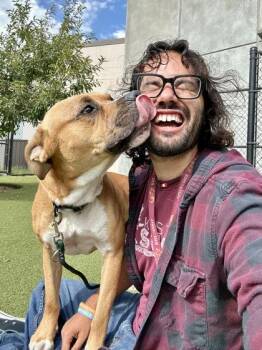 Sweetie Pie -  Mixed Breed Dog for Adoption in Wichita, Kansas - Sweetie Pie | PetCurious