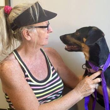 Rocky -  Hound and Terrier Dog for Adoption in Leesburg, Alabama - Rocky | PetCurious