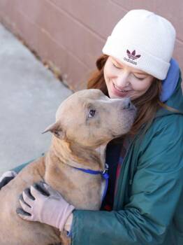 Mixed Breed Dogs Available for Adoption in Chamblee, Georgia - Mahla - ADOPTED | PetCurious