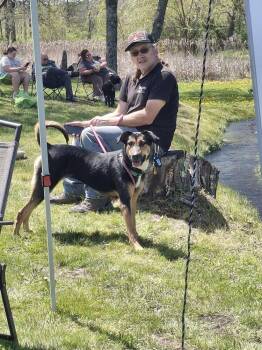 Remi -  German Shepherd Dog and Mixed Breed Dog Available for Adoption in Hartford, Vermont - Remi | PetCurious
