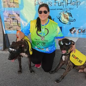 Rescue Boxer Dogs for Adoption in Kempner, Texas - Bugs | PetCurious