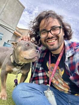 Regal -  Mixed Breed Dog for Adoption in Wichita, Kansas - Regal | PetCurious