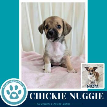 Chickie Nuggie (Betty
