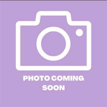 Mixed Breed Dogs Available for Adoption in El Paso, Texas - 60790205 | PetCurious