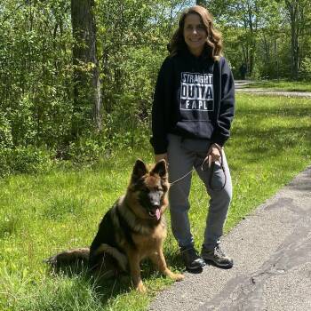 German Shepherd Dog Dogs Available for Adoption in Elyria, Ohio - Addie | PetCurious