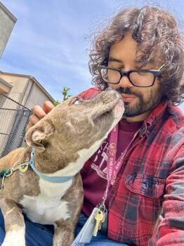 Frankie -  Mixed Breed Dog for Adoption in Wichita, Kansas - Frankie | PetCurious