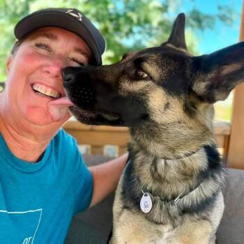 Willow -  German Shepherd Dog Dog for Adoption in Ramona, California - Willow | PetCurious