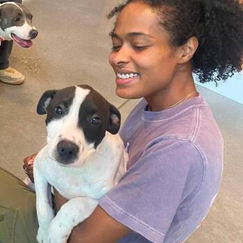 Tinsley (FKA Jojo) 22471 -  Pit Bull Terrier and Mixed Breed Dog for Adoption in Cumming, Georgia - Tinsley (FKA Jojo) 22471 | PetCurious