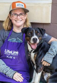 Dig Dug -  Mixed Breed Dog for Adoption in Chamblee, Georgia - Dig Dug | PetCurious
