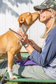 Rescue Mixed Breed Dogs for Adoption in Chamblee, Georgia - Flora - IN FOSTER | PetCurious