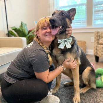 Louis Vuitton Your Loyal Sidekick -  German Shepherd Dog and Dutch Shepherd Dog for Adoption in Friendswood, Texas - Louis Vuitton Your Loyal Sidekick | PetCurious