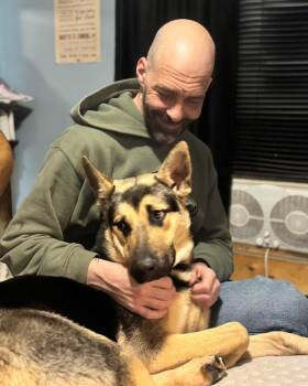 German Shepherd Dog Dogs Available for Adoption - Rico | PetCurious