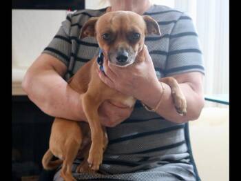 Chico available at Charlie