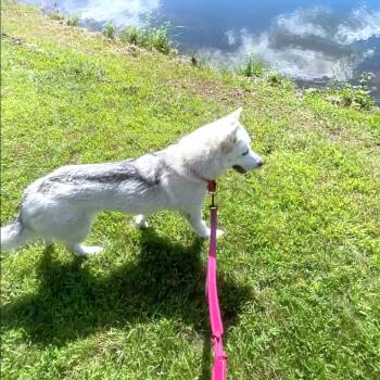 CT Sasha - avail Sept 19 @ Batter