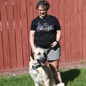 Ralph -  Anatolian Shepherd Dog for Adoption in Richmond, Virginia - Ralph | PetCurious