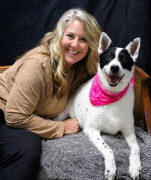 Sadie -  Cattle Dog Dog for Adoption in Cheboygan, Michigan - Sadie | PetCurious