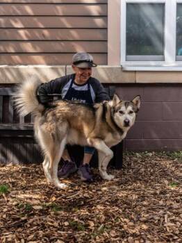 Mixed Breed Dogs Available for Adoption in Chamblee, Georgia - Max Ozuna | PetCurious