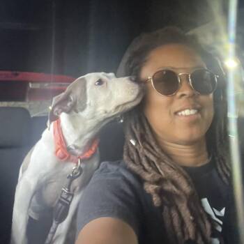 Philomena -  Mixed Breed Dog for Adoption in Philadelphia, Pennsylvania - Philomena | PetCurious