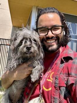 Mixed Breed Dogs Available for Adoption in Wichita, Kansas - Chanel | PetCurious