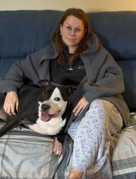 Dior -  Pit Bull Terrier and American Bulldog Dog for Adoption in Baltimore, Maryland - Dior | PetCurious