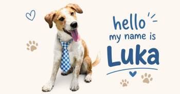 Luka - "I