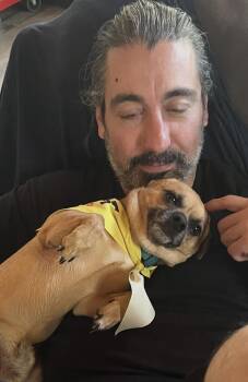 Chihuahua Dogs Available for Adoption in Cary, North Carolina - Nacho | PetCurious