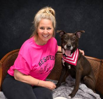 Falcon -  Chocolate Labrador Retriever Dog for Adoption in Cheboygan, Michigan - Falcon | PetCurious