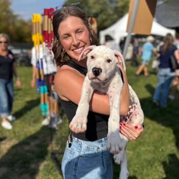 Rescue Mixed Breed Dogs for Adoption in Springboro, Ohio - Piglet | PetCurious