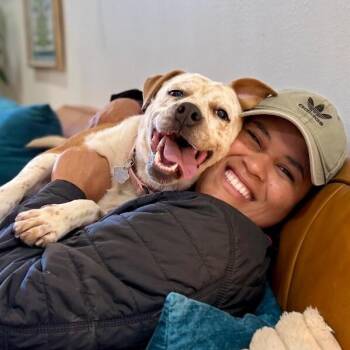Pippi Longstocking Pocket Sparkle -  Pit Bull Terrier and Pointer Dog for Adoption in Friendswood, Texas - Pippi Longstocking Pocket Sparkle | PetCurious