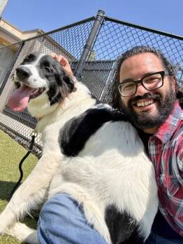 Ellie -  Mixed Breed Dog for Adoption in Wichita, Kansas - Ellie | PetCurious