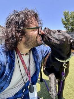 Dozer -  Mixed Breed Dog for Adoption in Wichita, Kansas - Dozer | PetCurious