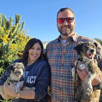 Poodle Dogs Available for Adoption in Ramona, California - Maybelle | PetCurious