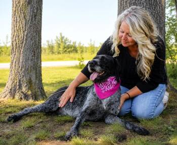 HoneyBee -  German Wirehaired Pointer Dog for Adoption in Cheboygan, Michigan - HoneyBee | PetCurious